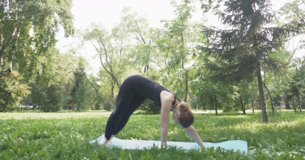 Mooie vrouw doet Pilates in het groene park — Stockvideo