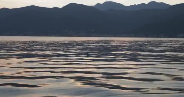 Απαλά θαλάσσια κύματα στο ηλιοβασίλεμα στον κόλπο του Κότορ. Μαυροβούνιο — Αρχείο Βίντεο