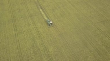 Sonbaharda çalışan bir kombine hasat makinesi havadan drone atış