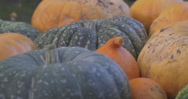 Hasat tan sonra kabakile Sonbahar kırsal rustik arka plan