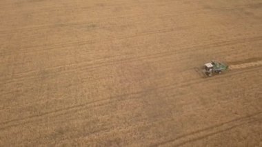 Sonbaharda çalışan bir kombine hasat makinesi havadan drone atış