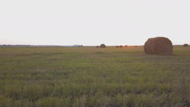 Landsbygdsområde på sommaren med balar av hö — Stockvideo