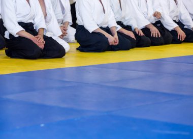 Kimono ve hakama giymiş insanlar dövüş sanatları eğitimi alıyorlar.