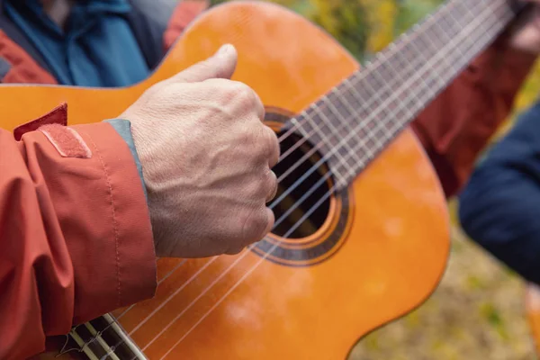 Two friends playing guitars in autumn park