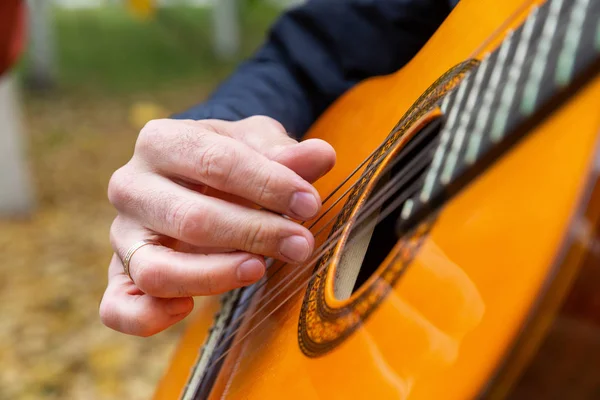 Two friends playing guitars in autumn park