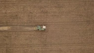 Sonbaharda çalışan bir kombine hasat makinesi havadan drone atış