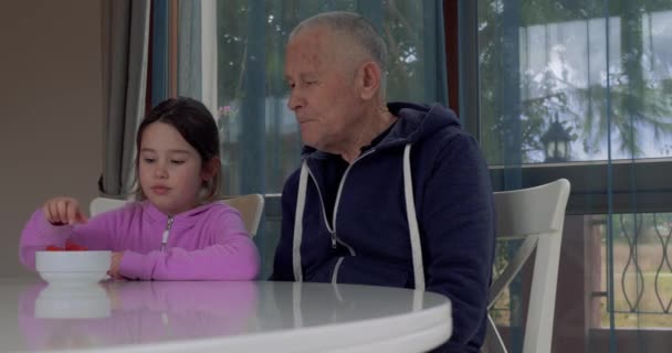 Een klein meisje dat thuis aardbeien eet met haar grootvader — Stockvideo