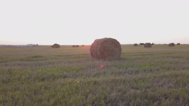 Сельское поле летом с тюками сена — стоковое видео