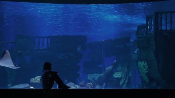 Cute girl watching fishes in a large aquarium — Stock Video