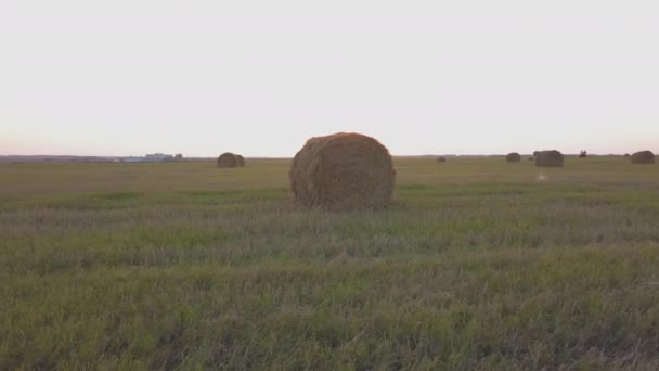 Venkovské pole v létě s baleny sena — Stock video