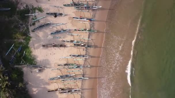 Tradiční srílanské rybářské lodě na pláži. Letecký záznam z bezpilotního letounu — Stock video