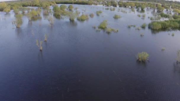 Filmato aereo drone di acqua alta in primavera — Video Stock