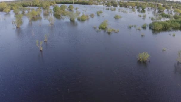 Letecký bezpilotní záznam vysoké vody v jarním čase — Stock video