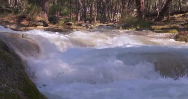 Crystal Water dans Forest Mountain River. Au fond des montagnes — Video