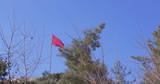 Velká červená vlajka Turecka vlnící se ve větru — Stock video