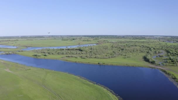 田園風景の中の川と緑のフィールドの風景 — ストック動画