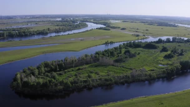 Vista aérea panorâmica de um rio e campos verdes em um campo — Vídeo de Stock