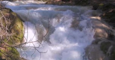 Forest Mountain River 'daki Kristal Su. Dağların derinliklerinde