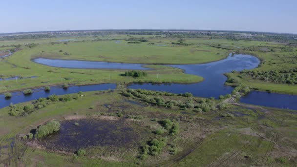 Vista aérea panorâmica de um rio e campos verdes em um campo — Vídeo de Stock
