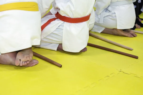 Pessoas em quimono em artes marciais seminário de treinamento de armas — Fotografia de Stock