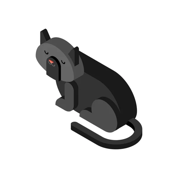 Black Cat Isometrics Home Pet Vector Illustration — Stock Vector