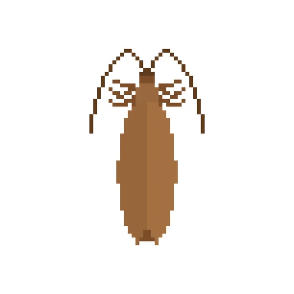 Kackerlacka Pixelart Insekt Bitar Beetle Digital Bugg Vektor Illustratio — Stock vektor