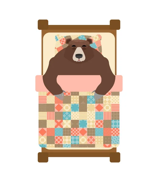 Bear Dorme Letto Dormire Grizzly Illatio Vettoriale — Vettoriale Stock