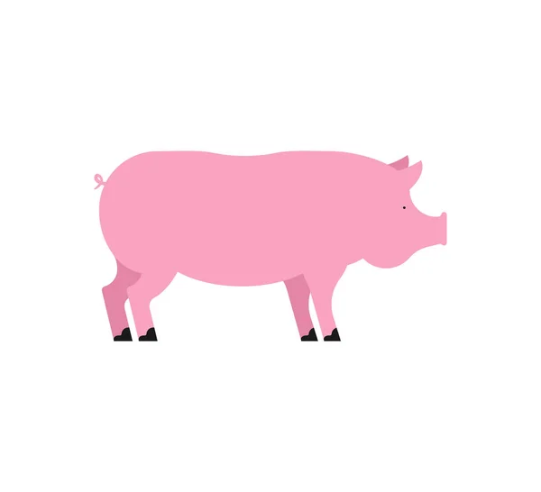 Świnia Białym Tle Różowy Prosiaczek Zwierząt Farm Trzody Chlewnej Pozdrowienie — Wektor stockowy