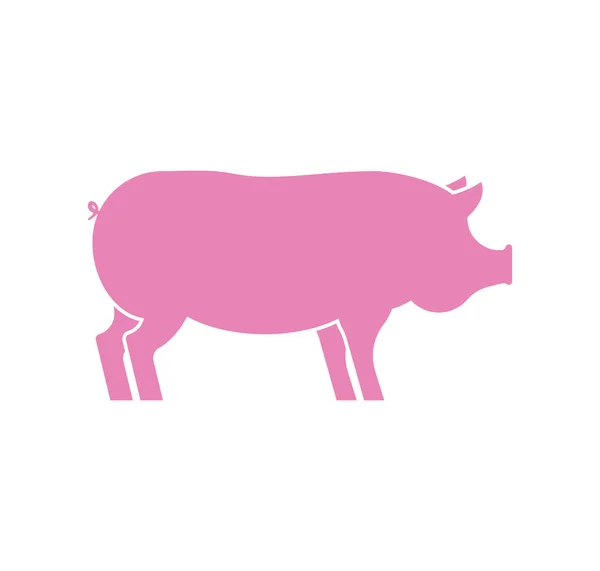 Icono Cerdo Aislado Piglet Rosa Animal Granja Porcino Ilustración Del — Archivo Imágenes Vectoriales