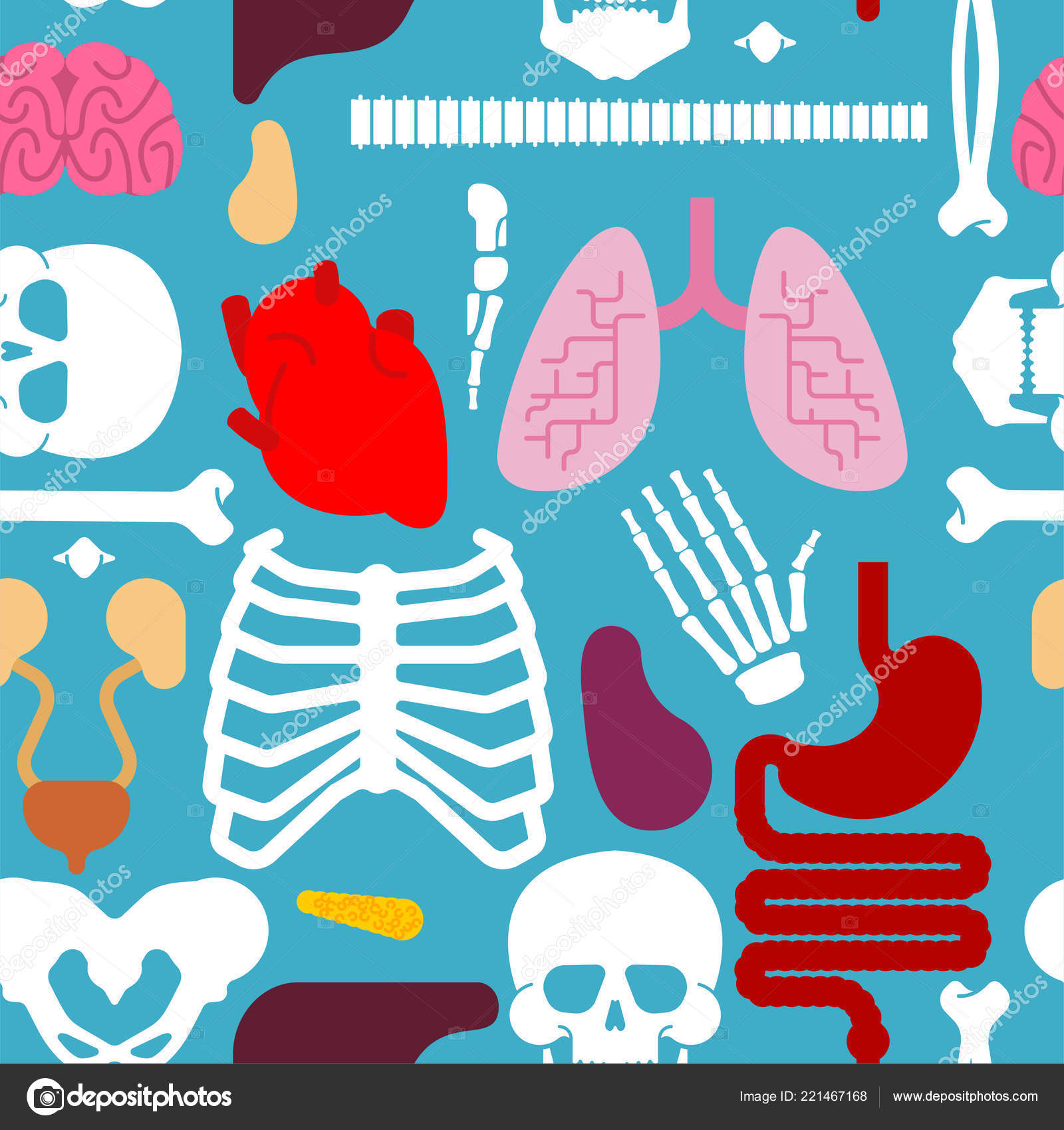 Human Anatomy Pattern Seamless Skeleton Internal Organs Background