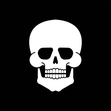 Kafatası iskeleti anatomi insan. İskelet sistemi kesiti. vektör illustratio