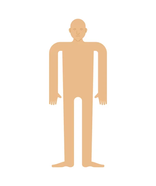 Plantilla Cuerpo Humano Aislado Hombre Pape Cortado — Vector de stock