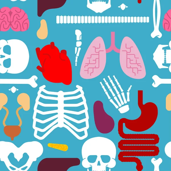 Ανθρώπινη Ανατομία Μοτίβο Άνευ Ραφής Σκελετός Και Εσωτερικά Όργανα Φόντο — Διανυσματικό Αρχείο