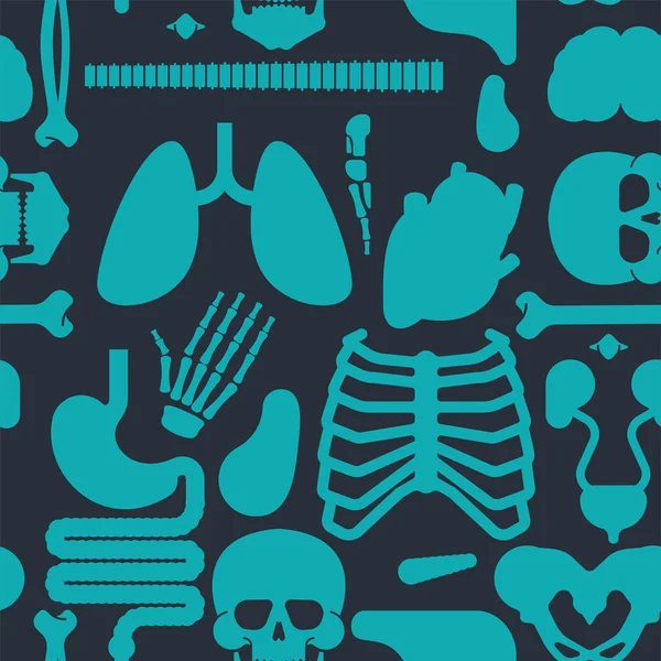 Seamless pattern with internal organs. Human body anatomy. Health care and  medical education background. #2923914