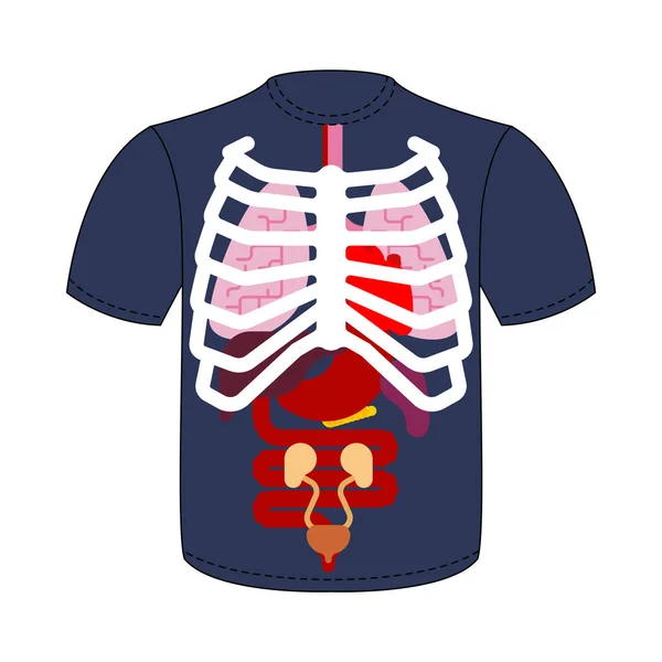 Camiseta Órganos Internos Caja Torácica Anatomía Humana Sistemas Cuerpo Órganos — Vector de stock