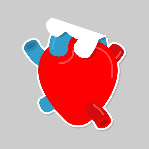 Anatomy Heart Paper Sticker Symbol Love Valentine — Stock Vector