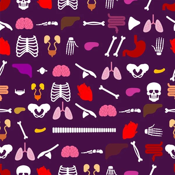 Menselijke Anatomie Patroon Naadloos Skelet Interne Organen Achtergrond Systemen Van — Stockvector