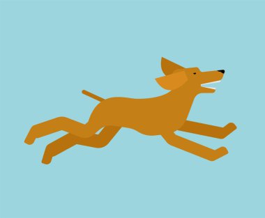 Köpek izole çalıştırın. Evde beslenen hayvan çalışan. vektör illustratio