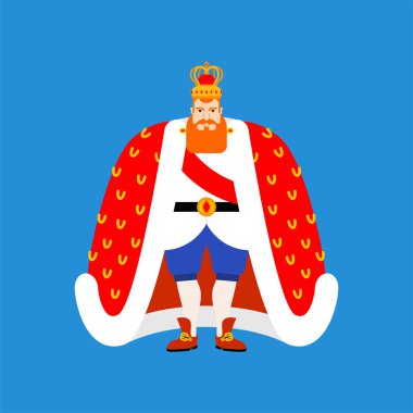 İzole kral. Kraliyet persona. Manto ve taç. Monarch karikatür kahramanı