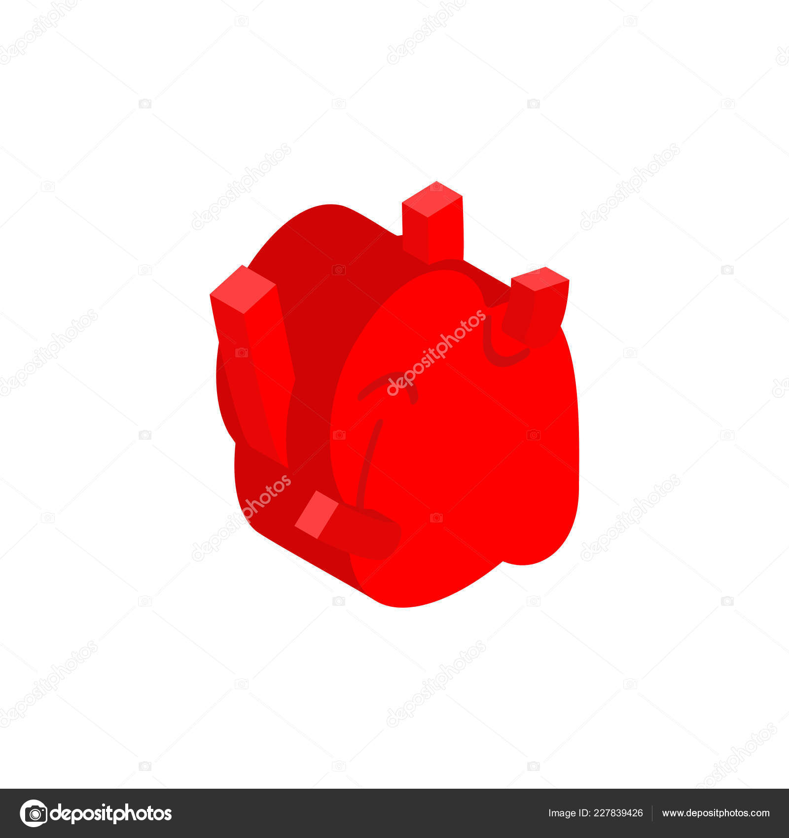 Heart Anatomy Isometric Isolated Internal Organ Anatomy