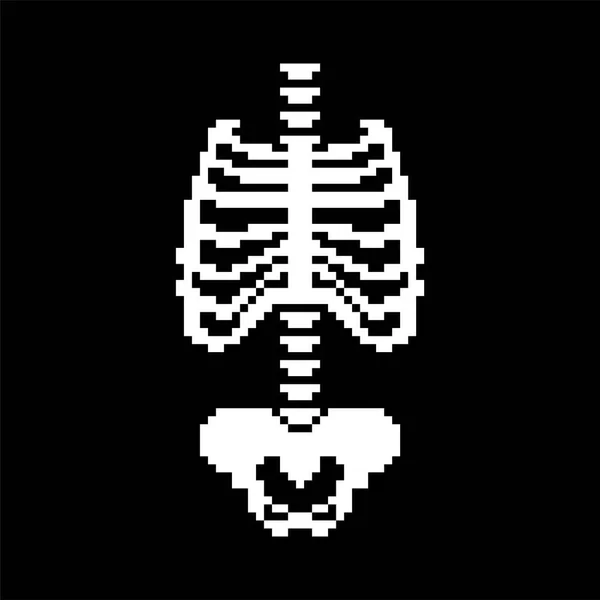 Rib Cage Spinale Pelvic Bot Pixelart Botten Van Anatomie Bit — Stockvector