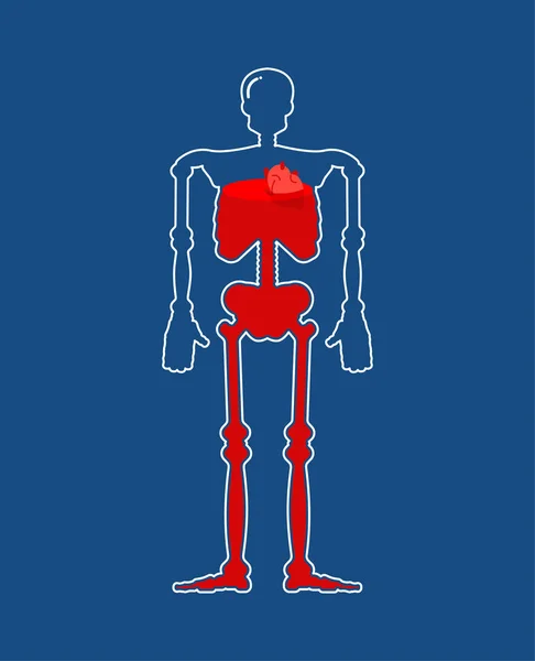 Esqueleto Vidrio Transparente Sangre Botella Cuerpo Dentro Del Líquido Rojo — Vector de stock