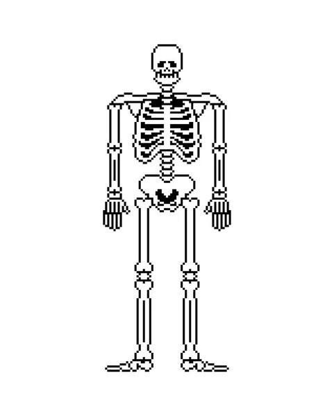 Arte Píxeles Esqueleto Anatomía Del Cráneo Los Huesos Bit Pixelato — Vector de stock