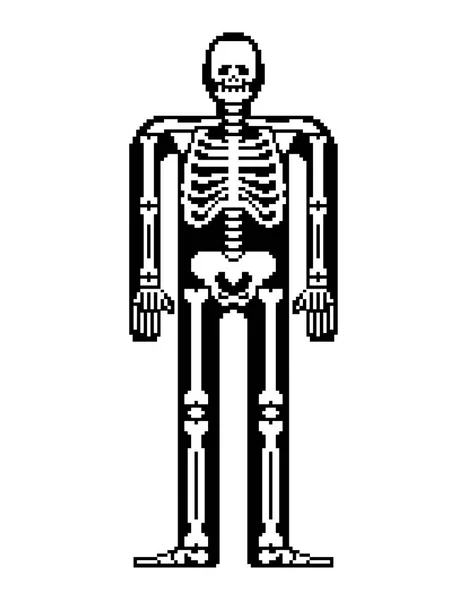 Szkielet Pikseli Sztuki Anatomia Czaszki Kości Bitów Kości Miednicy Pixelate — Wektor stockowy