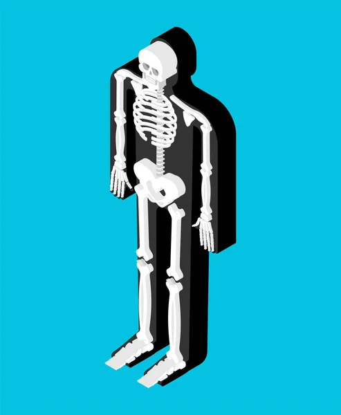 人体的骨骼等距解剖 骷髅和骨头 骨盆骨和肋骨 脊椎和脊椎 器官系统主体 — 图库矢量图片