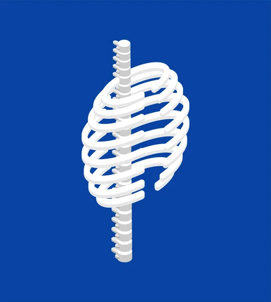 Gabbia Toracica Stile Isometrico Spinale Costole Anatomia Del Corpo Organi — Vettoriale Stock