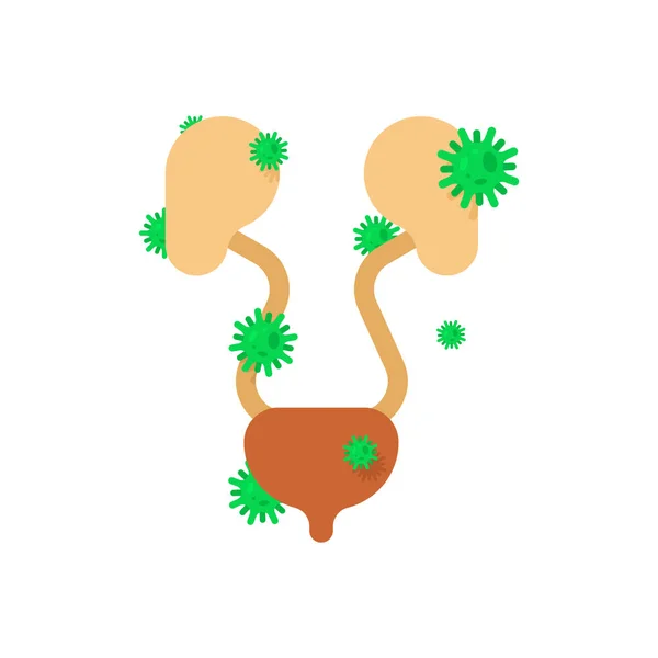 Riñones Enfermos Órgano Interno Enfermo Aching Virus Bacterias Enfermedad Humana — Vector de stock