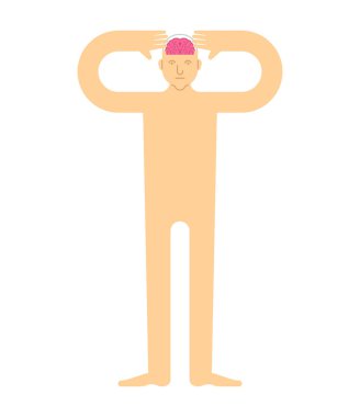 Baş insan beyninde. Kafatası beyinlerinde.