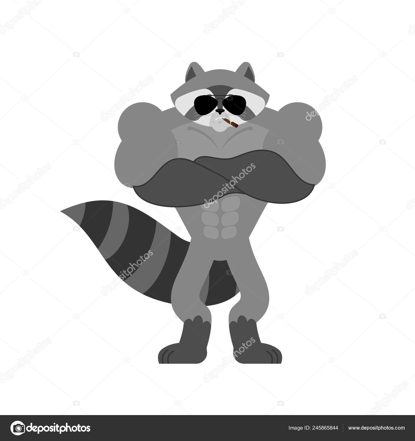 너구리 심각한입니다 너구리 Emoji 엄격한 이입니다 일러스트 스톡 벡터 - ©popaukropa 245865844, image size:1600x1700