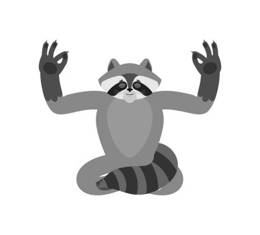 Rakun yoga. Racoon yogi izole. Rakun gevşeme ve meditasyon. Vektör çizim